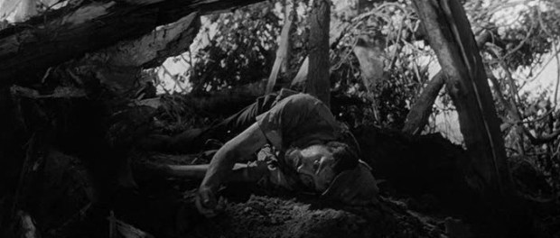 Fuego en la llanura1