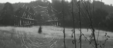 A Field in England (1)