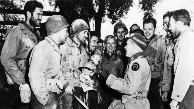 dlx3agNaP7cut2rZfoxuVwRvmrD